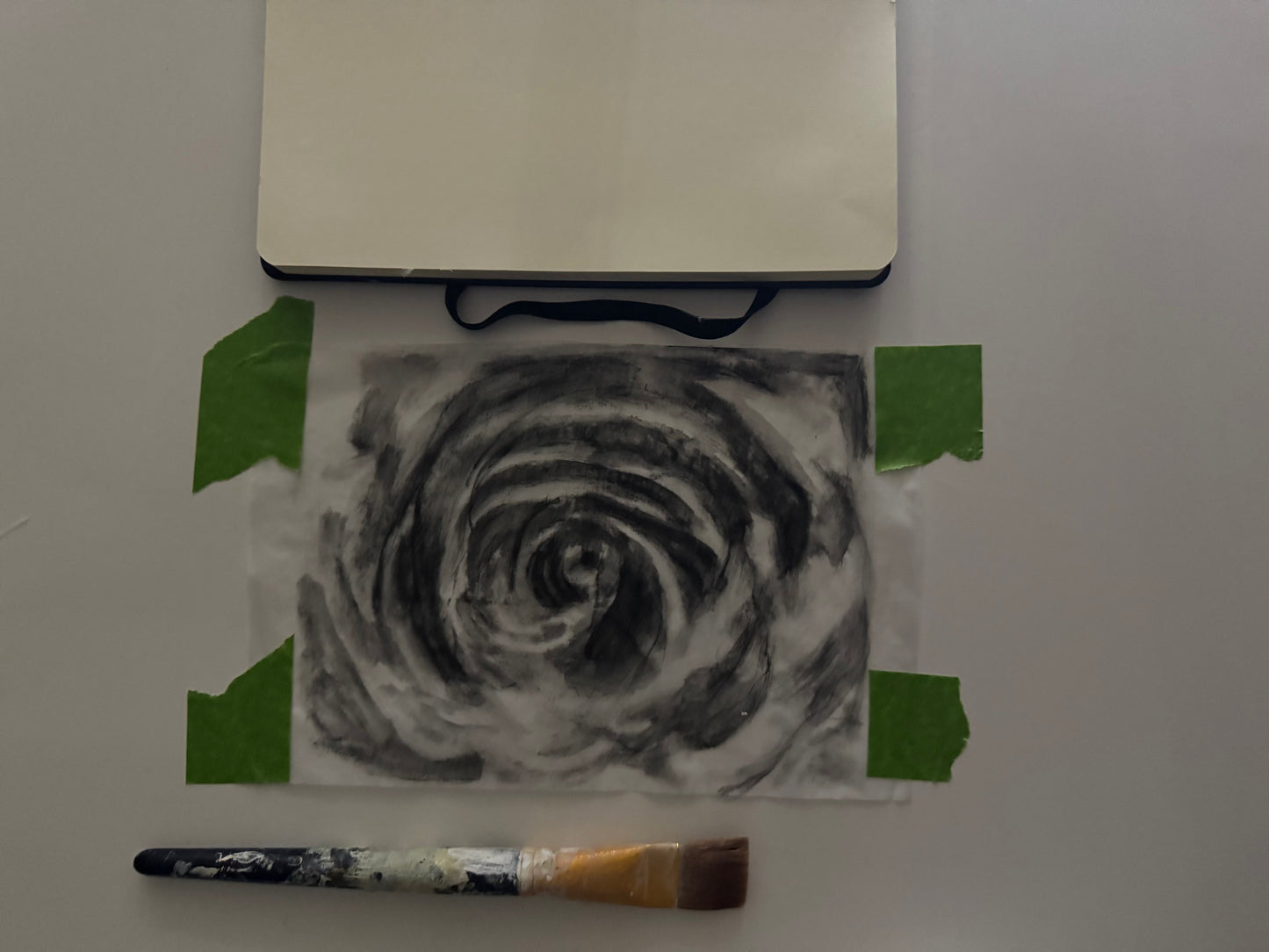 Garden Sketches - Capturing Florals with Charcoal & Light