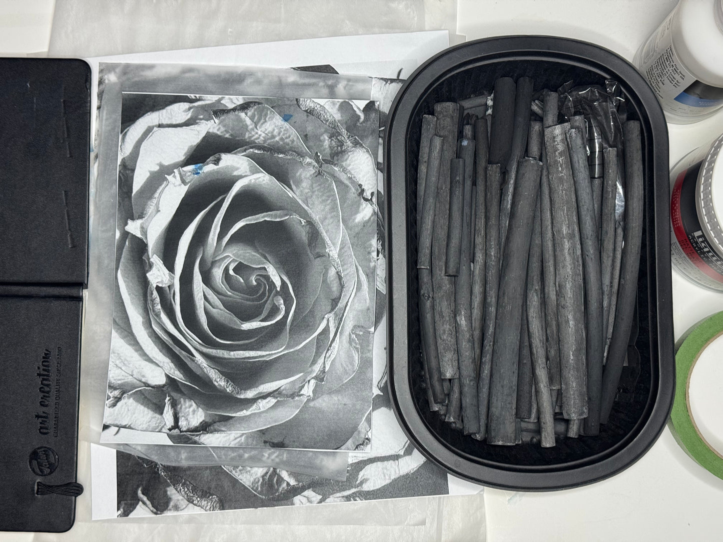 Garden Sketches - Capturing Florals with Charcoal & Light