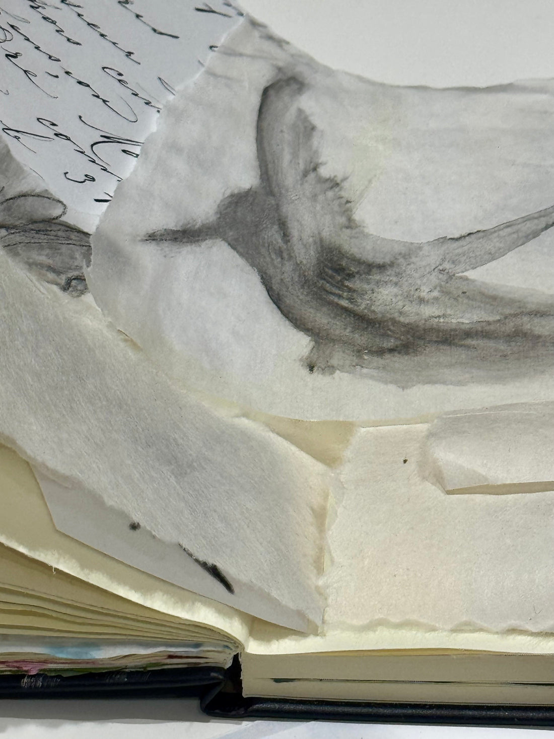 From Snapshot to Sketchbook:  The S.E.E. Method