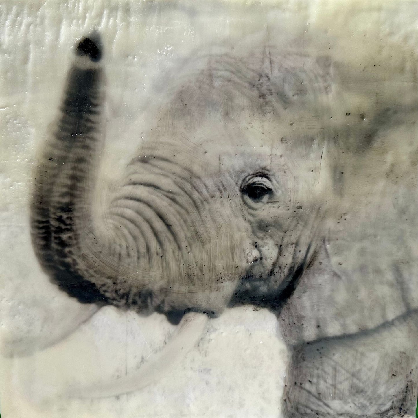 Uplifted  -  Elephant