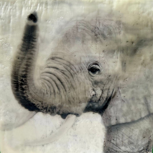 Uplifted  -  Elephant