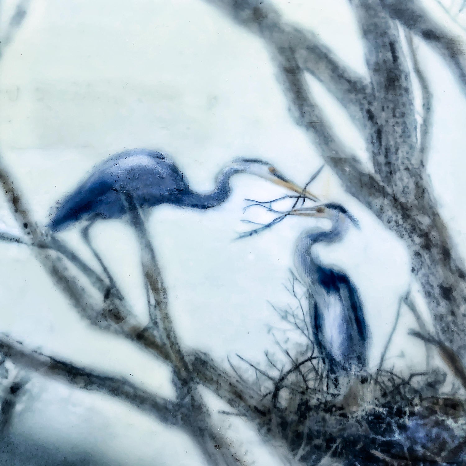 Blue heron photography art by Nancy Falconi, heronry 