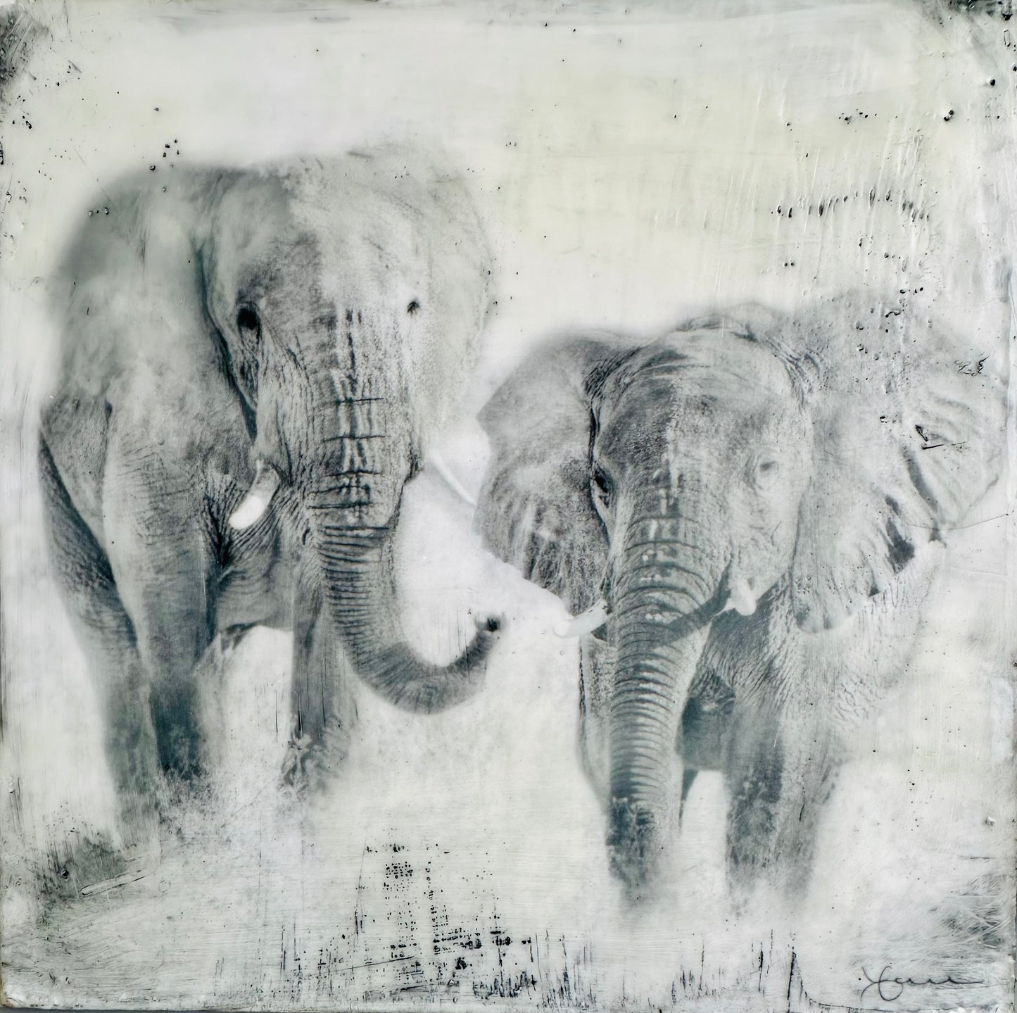 Invincible -  Elephant