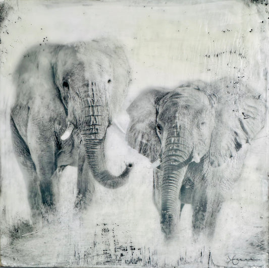Invincible -  Elephant