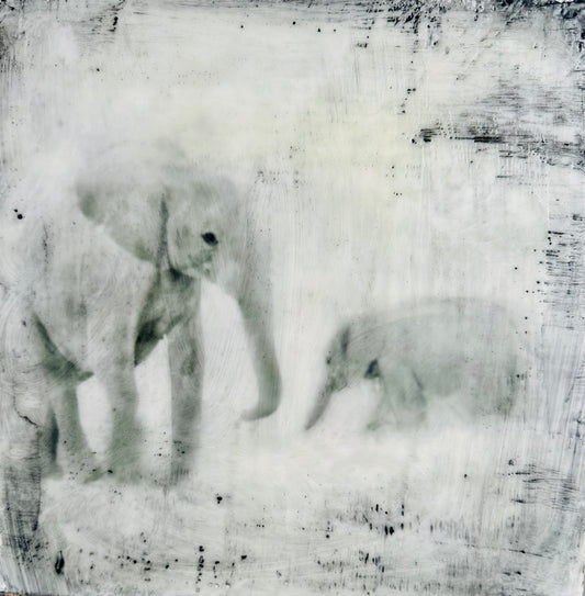 Mama  -  Elephant