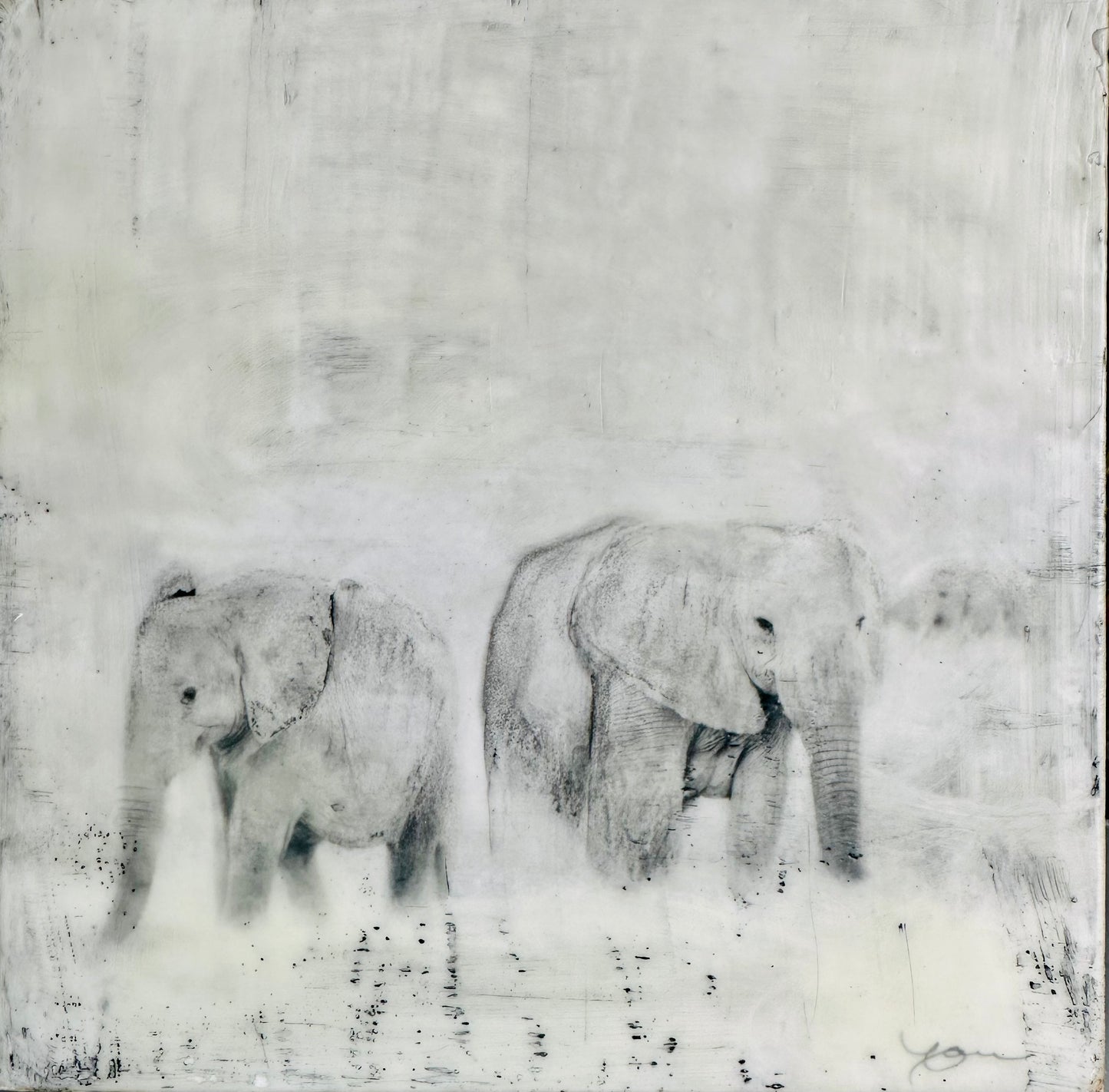 Peace  -  Elephant
