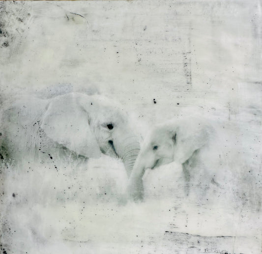 Affection  -  Elephant