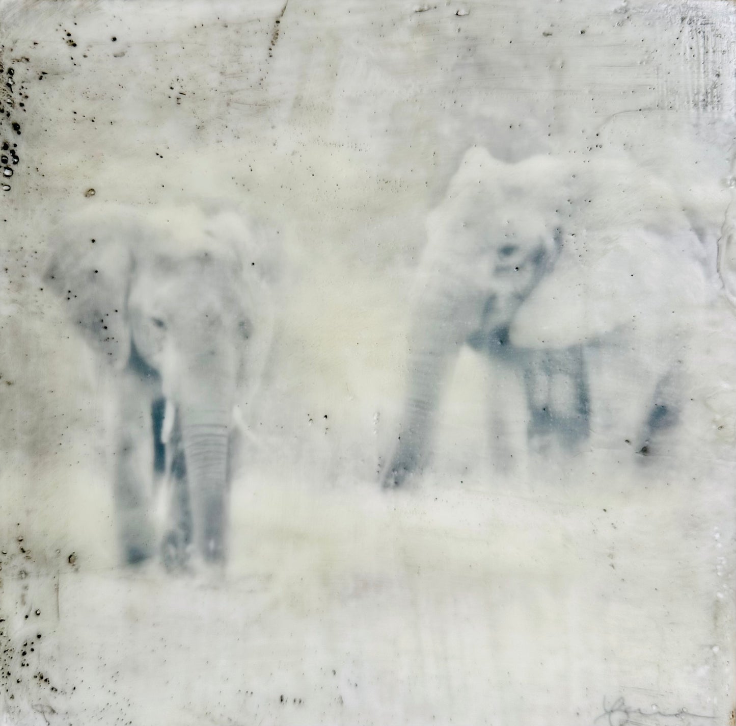 Grounded -  Elephant