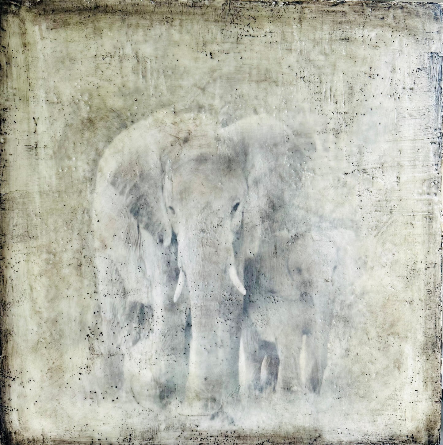 Got Your Back - Elephant