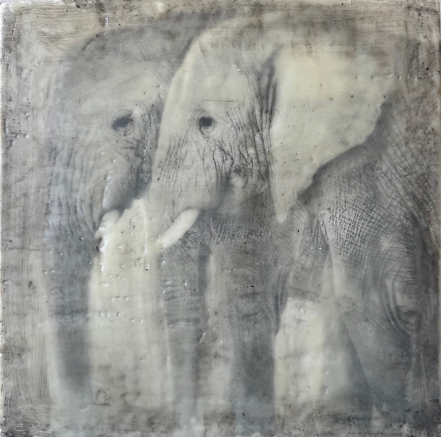Great Love -  Elephant