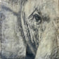 Inner Vision -  Elephant