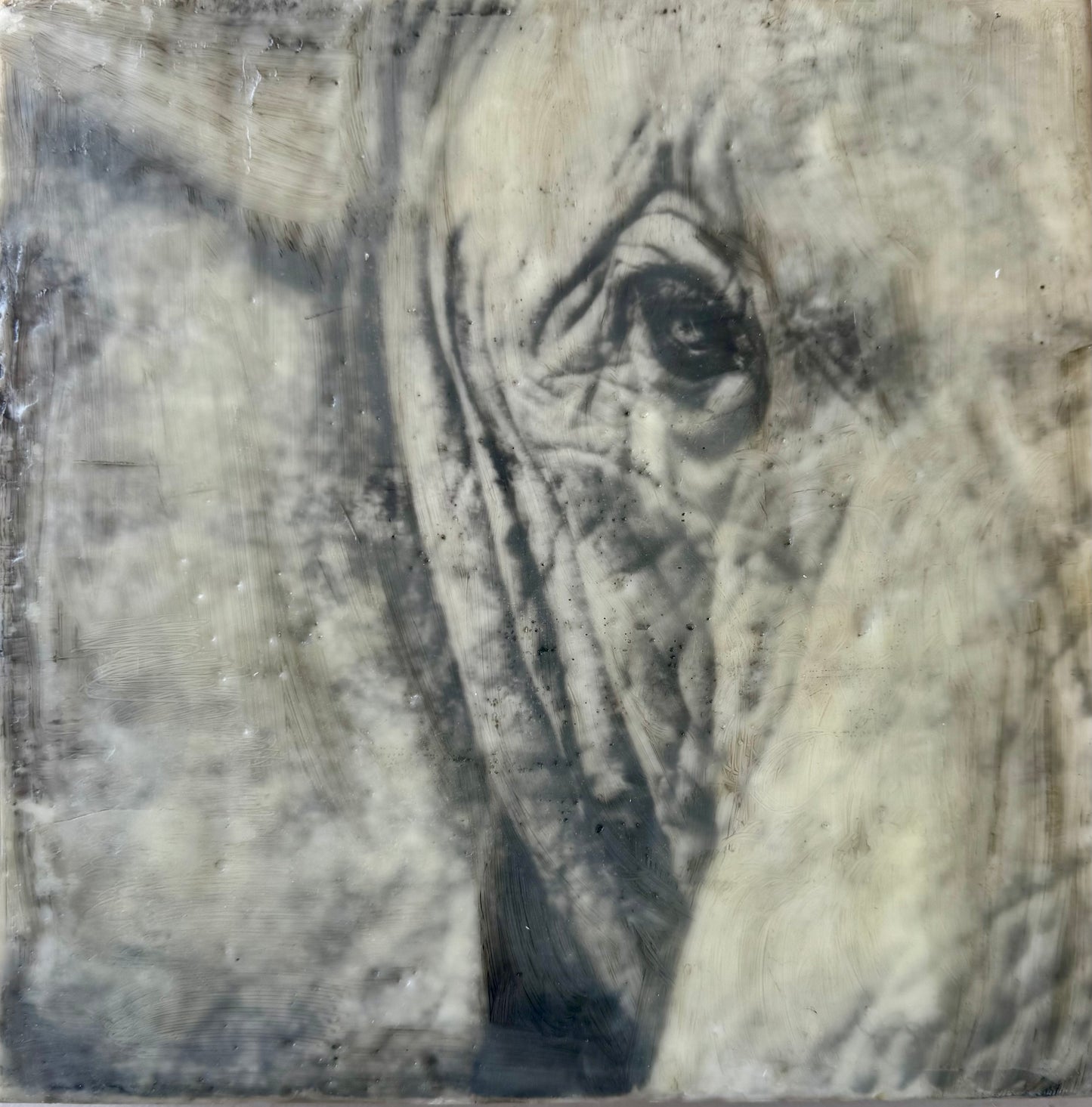 Inner Vision -  Elephant