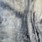 Inner Vision -  Elephant