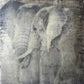 Bond  -  Elephant