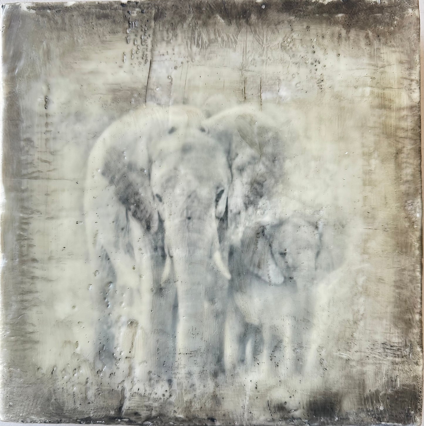 Got Your Back  -  Elephant