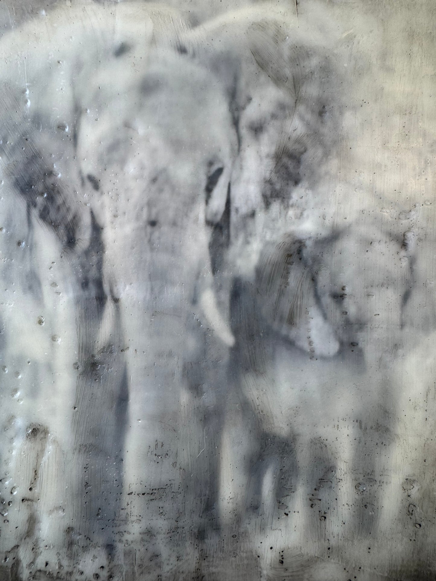 Got Your Back  -  Elephant