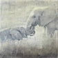 Entwined -  Elephant