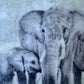 Female Elders - Elephant