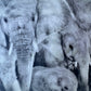 Female Elders - Elephant