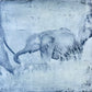 Protected - Elephant