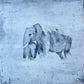 Connection - Elephant