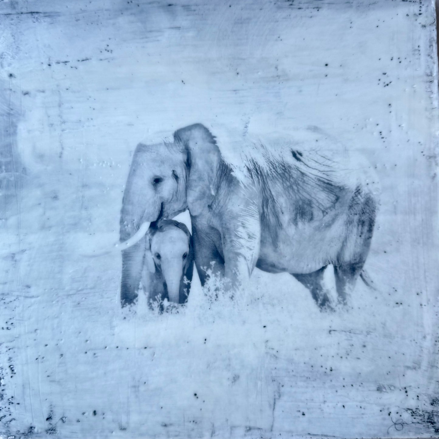 Connection - Elephant