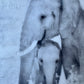 Connection - Elephant