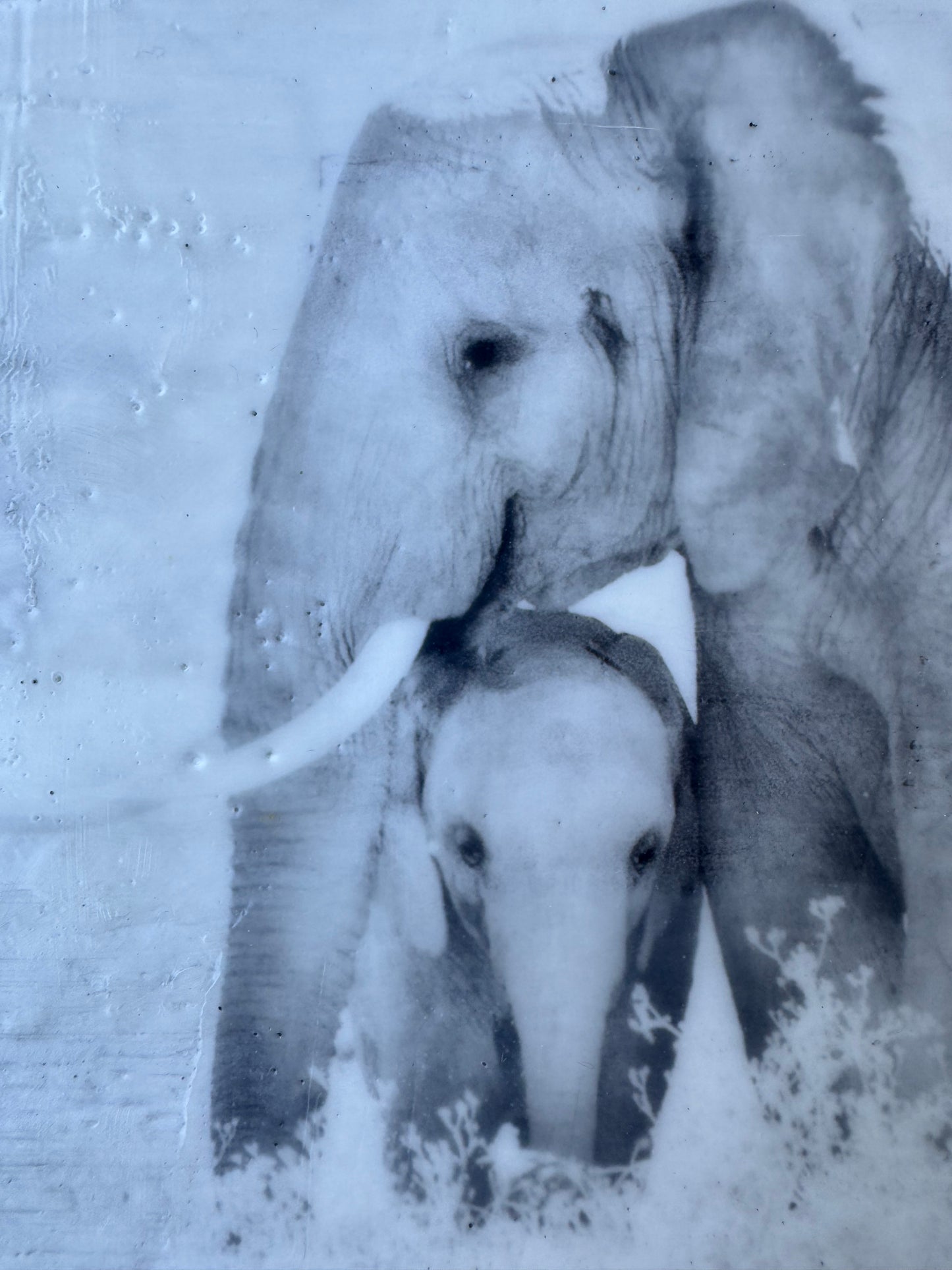 Connection - Elephant