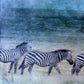 Generational Movement -  Zebra 10x10x1.5