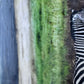 Wild Integrity   -  Zebra