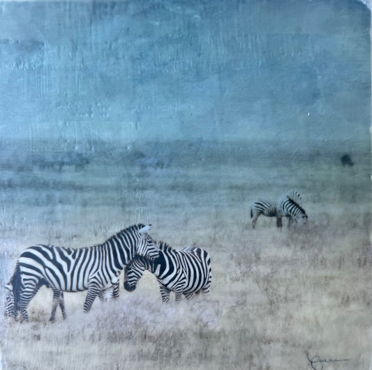 Lean Into Me  -  Zebra