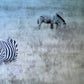 Lean Into Me  -  Zebra