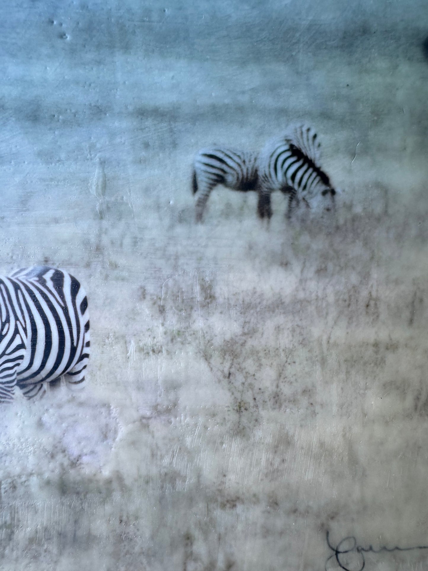 Lean Into Me  -  Zebra
