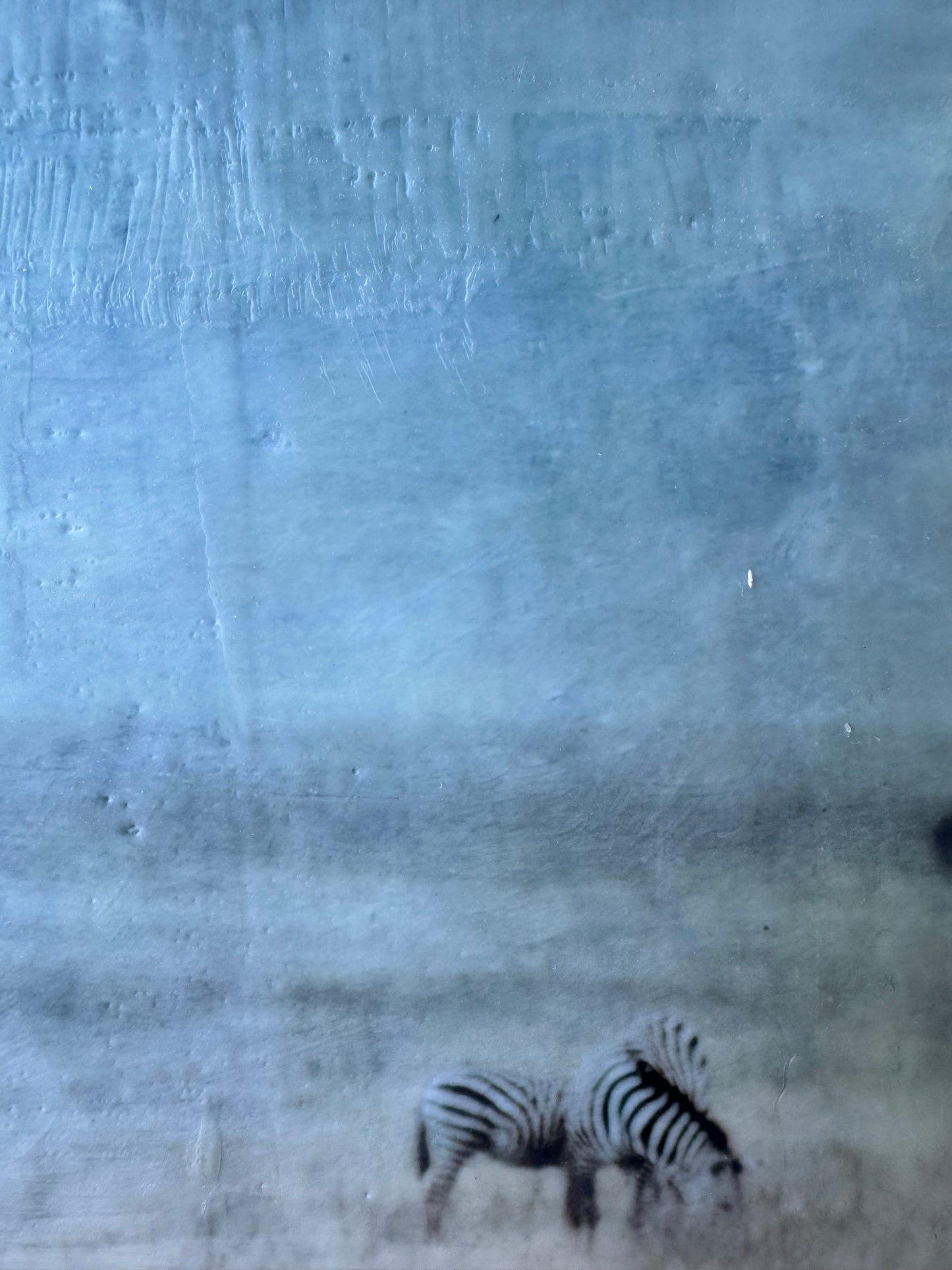 Lean Into Me  -  Zebra