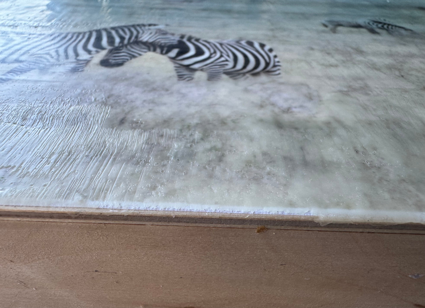 Lean Into Me  -  Zebra