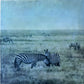 Held Close -  Zebra