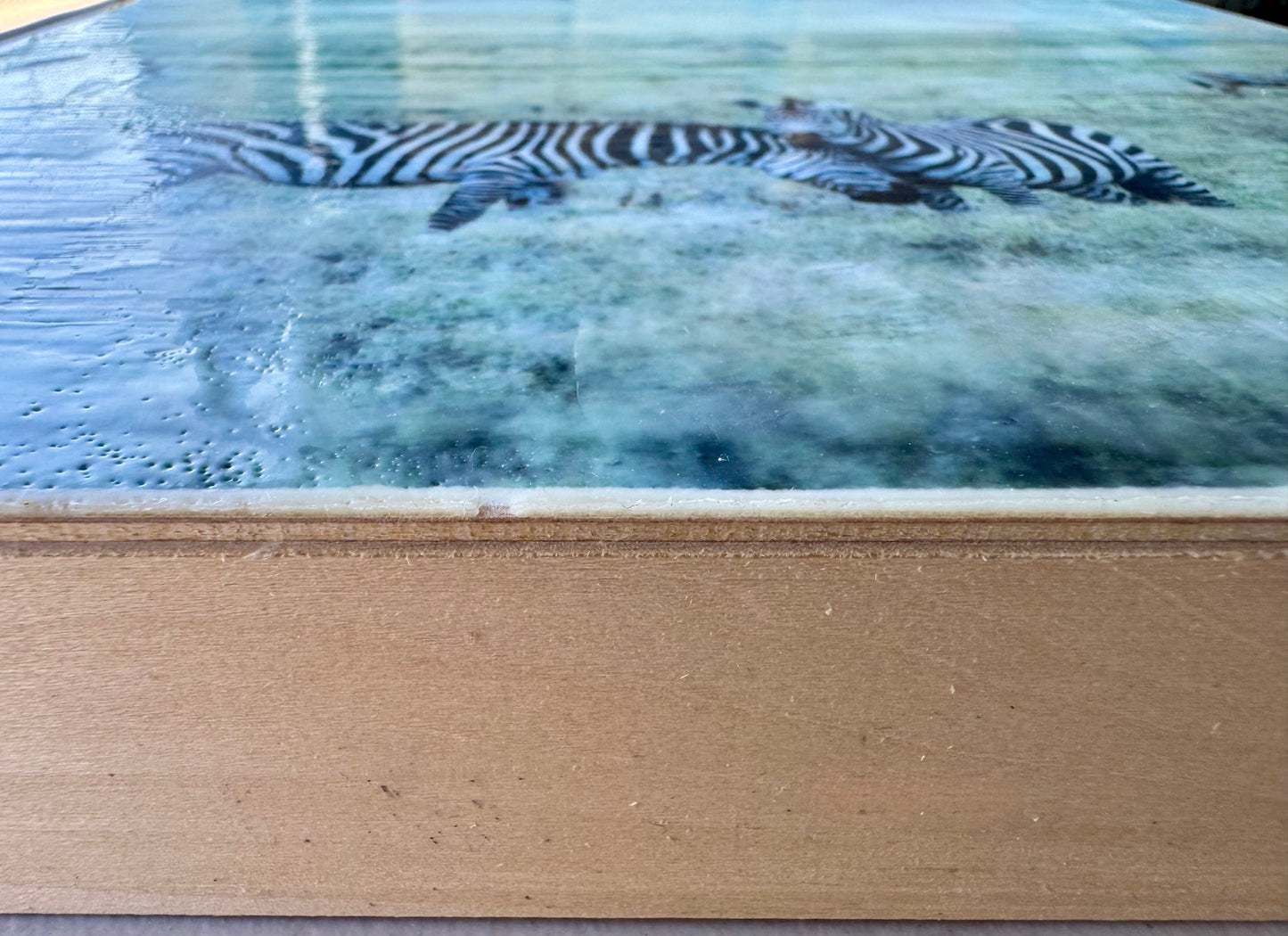 Held Close -  Zebra