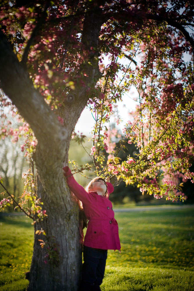 Person in a pink coat standing next to a flowering tree in a park