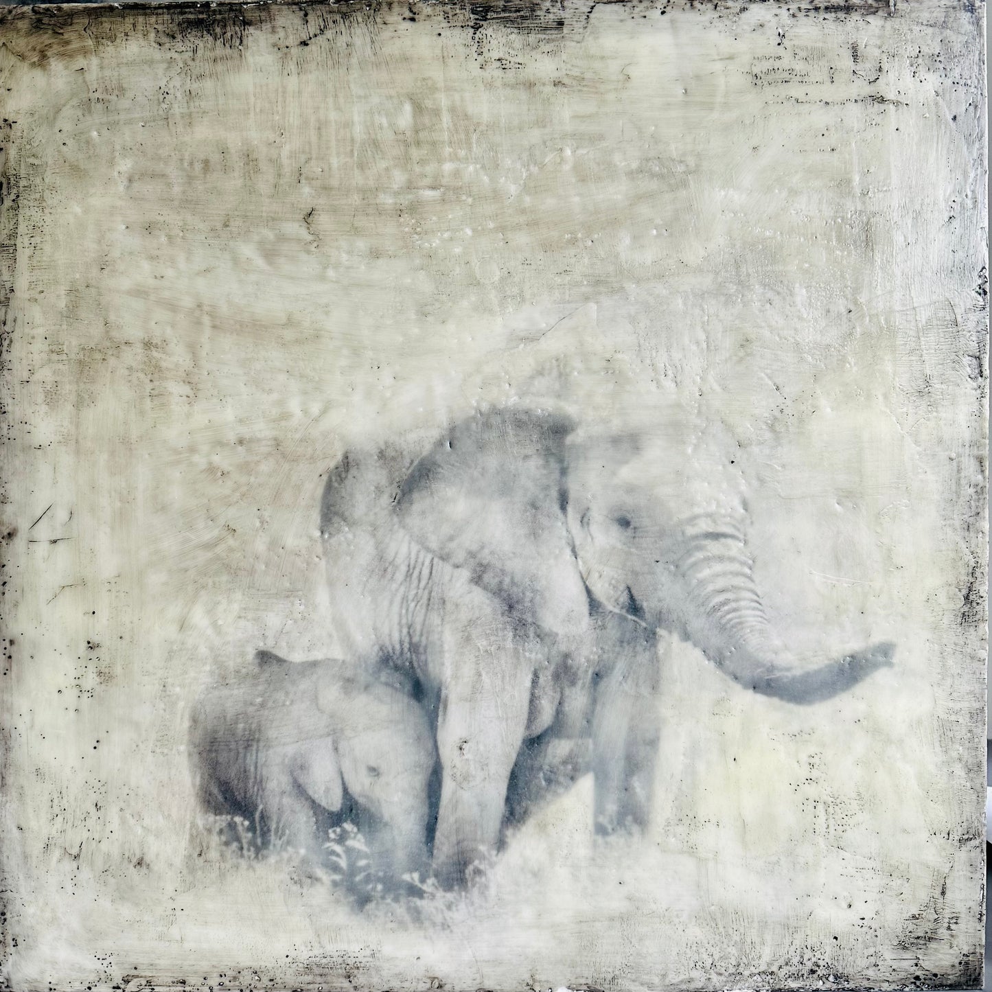 Protection - Elephant